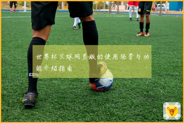 世界杯买球网页版的使用场景与功能介绍指南