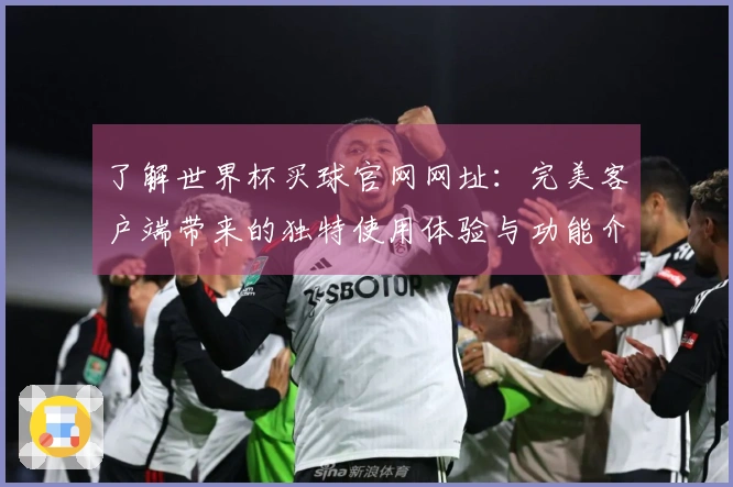 了解世界杯买球官网网址：完美客户端带来的独特使用体验与功能介绍