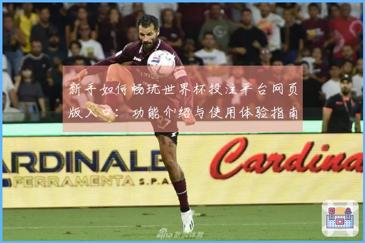 新手如何畅玩世界杯投注平台网页版入口：功能介绍与使用体验指南
