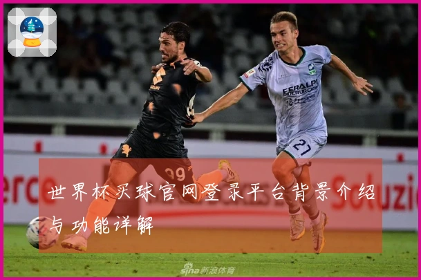 世界杯买球官网登录平台背景介绍与功能详解
