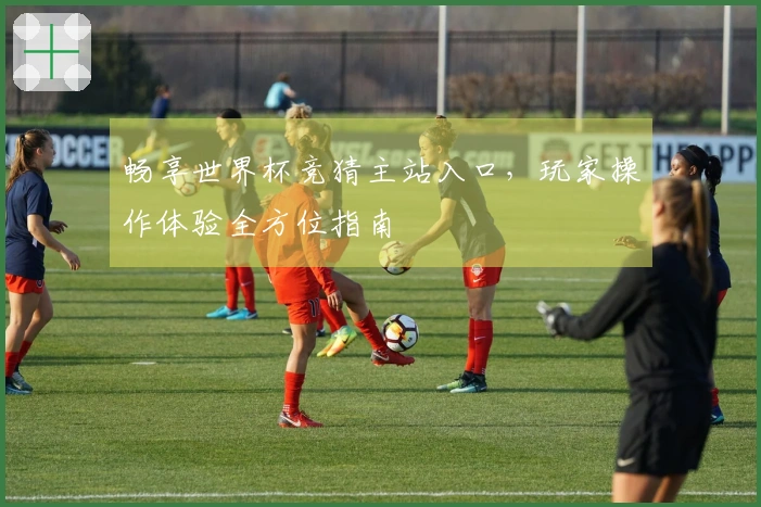 畅享世界杯竞猜主站入口,玩家操作体验全方位指南