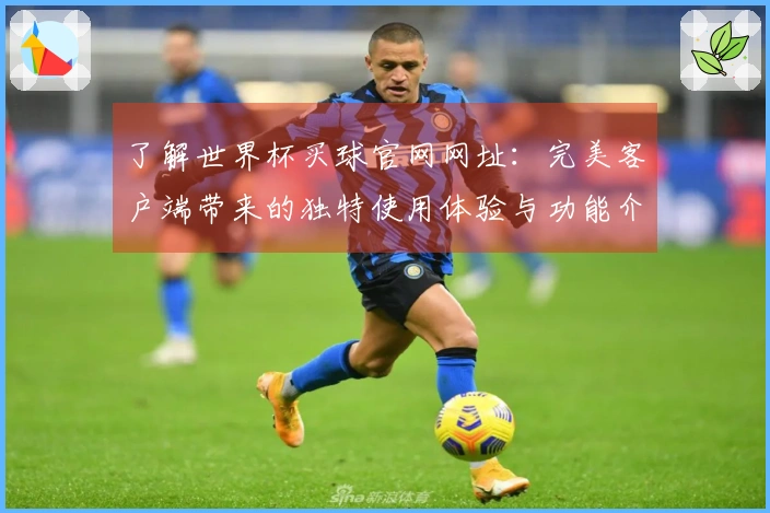 了解世界杯买球官网网址:完美客户端带来的独特使用体验与功能介绍