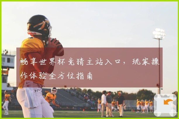 畅享世界杯竞猜主站入口，玩家操作体验全方位指南