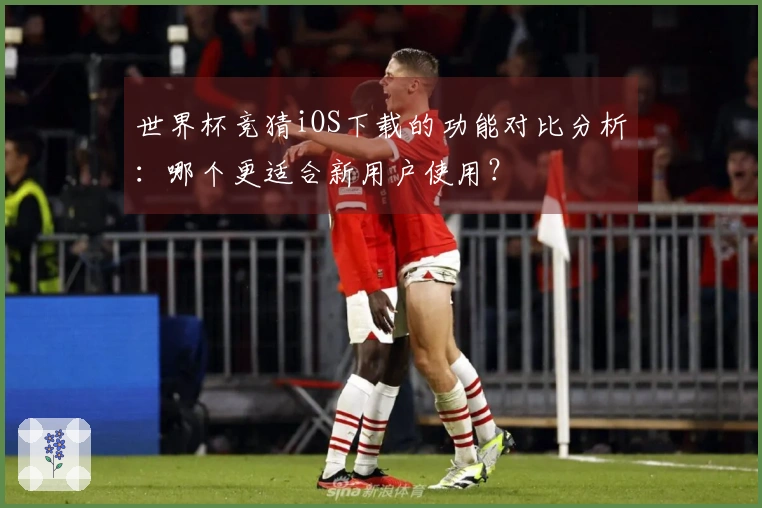 世界杯竞猜iOS下载的功能对比分析：哪个更适合新用户使用？